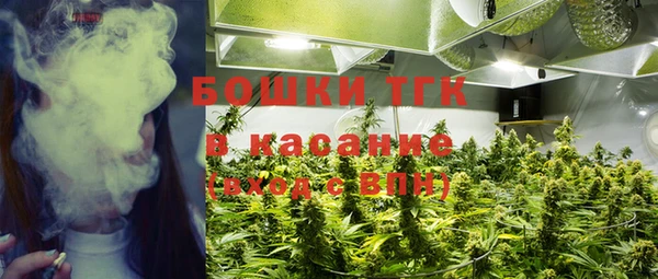 эйфоретик Аркадак