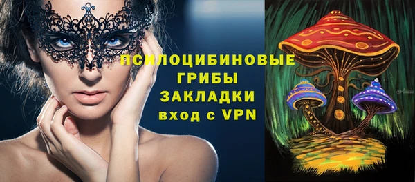 эйфоретик Аркадак