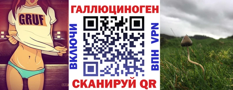 Галлюциногенные грибы мицелий  Рассказово 